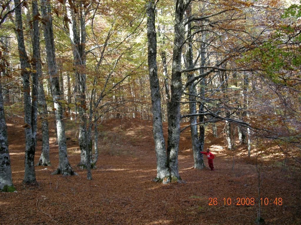 Pollino 26.10.08